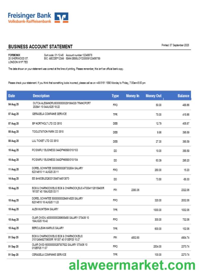 Freisinger Bank account business statement Word and PDF format